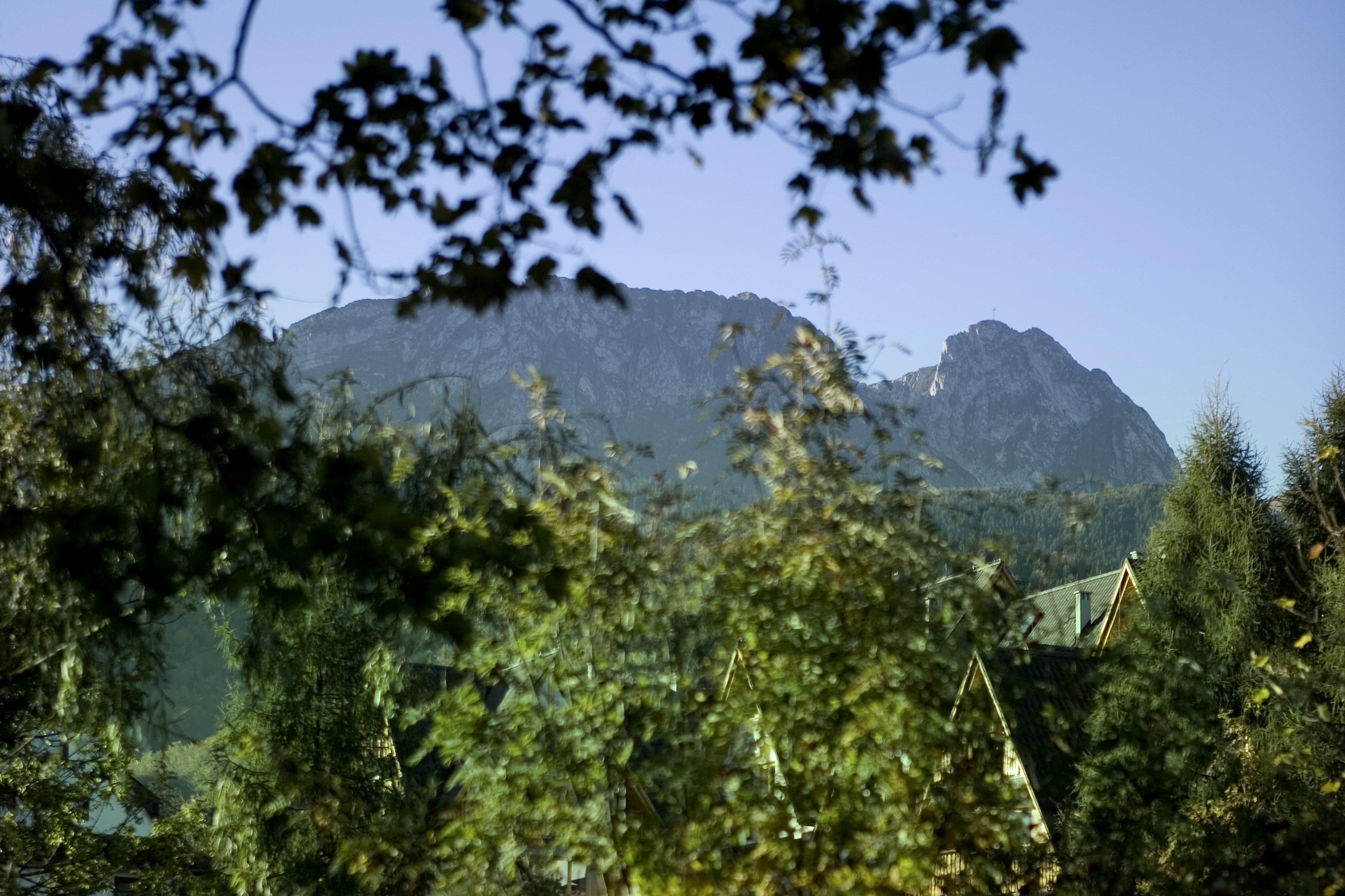 Szarotka Hotel Zakopane Bagian luar foto