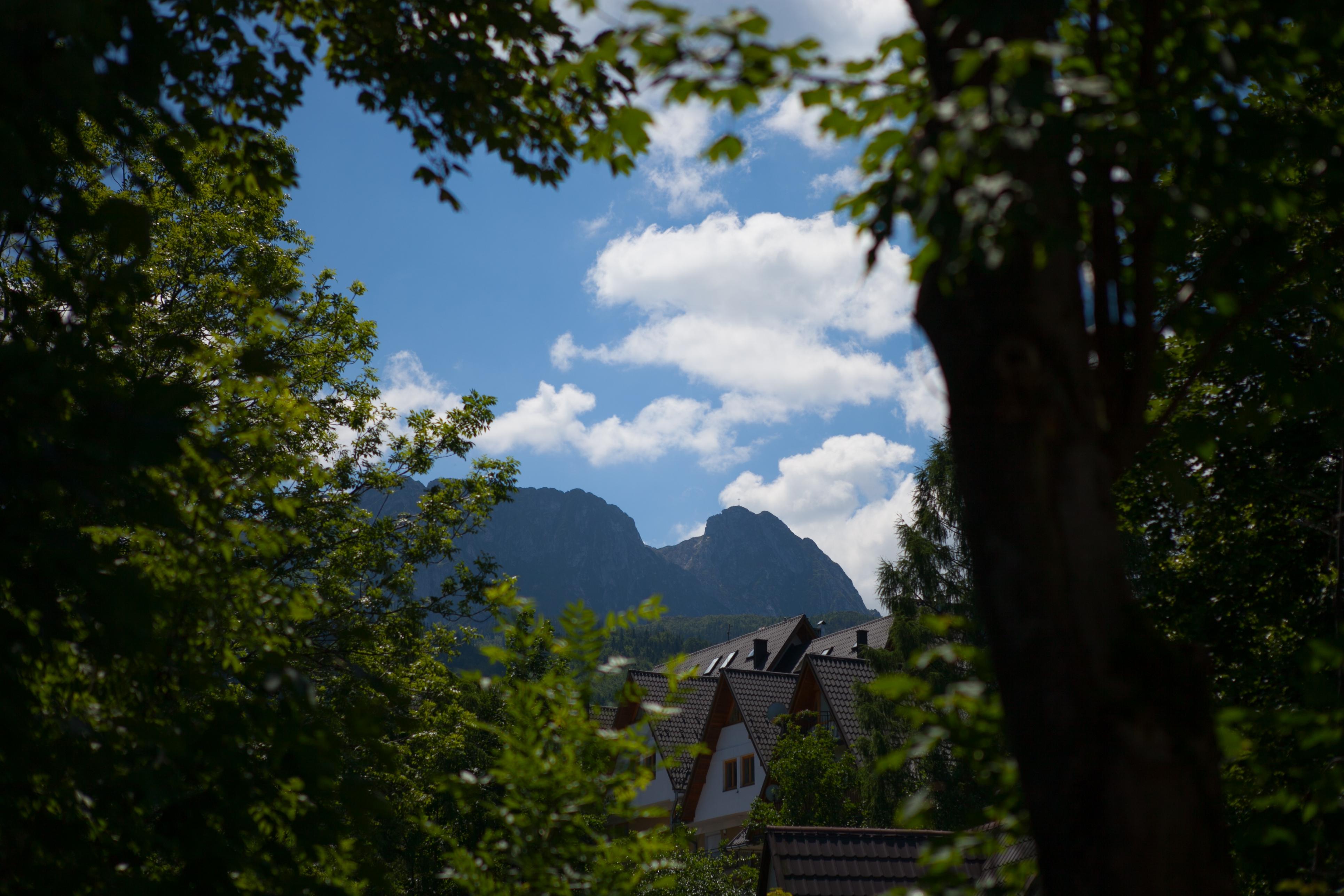 Szarotka Hotel Zakopane Bagian luar foto