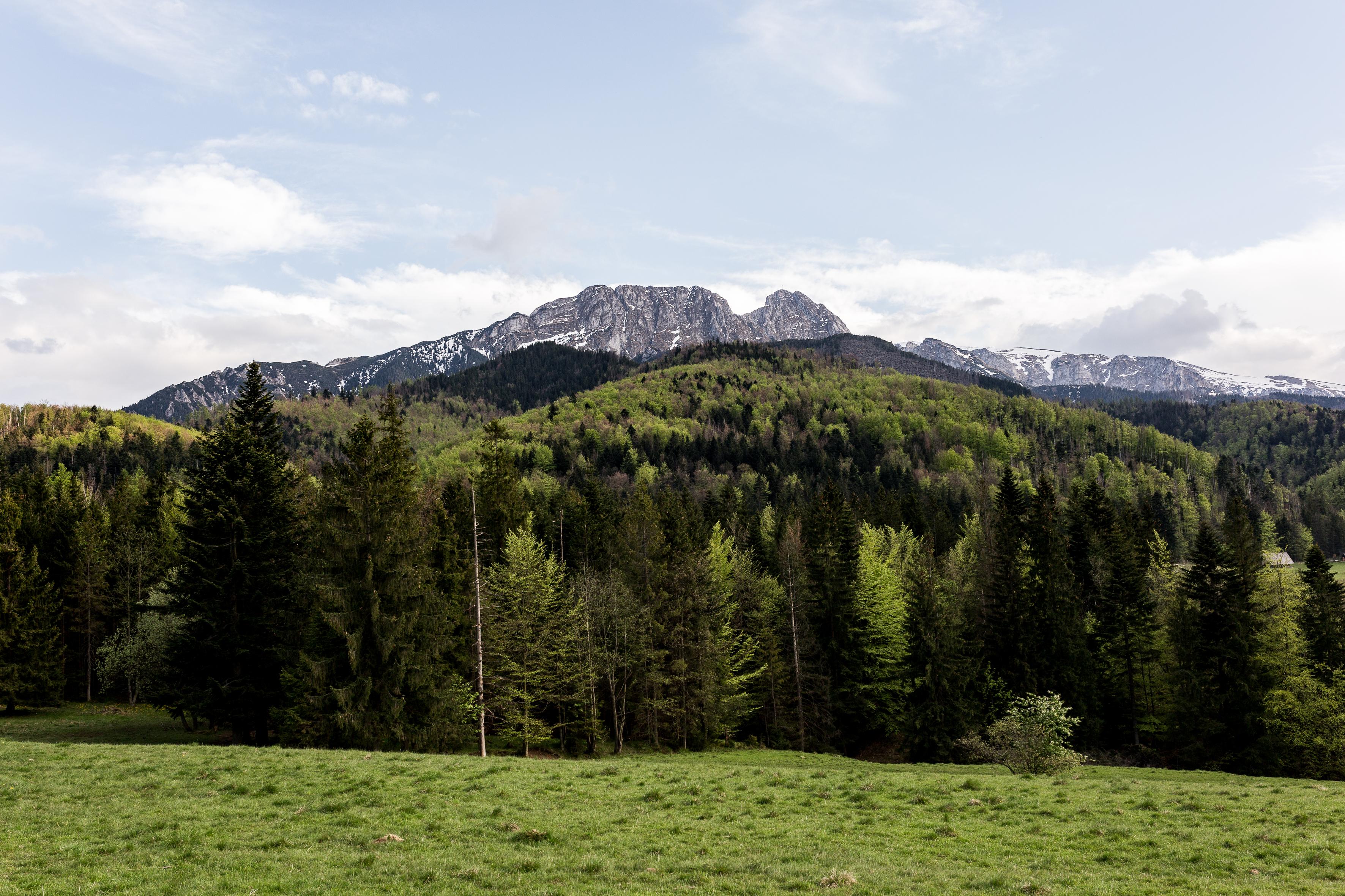 Szarotka Hotel Zakopane Bagian luar foto